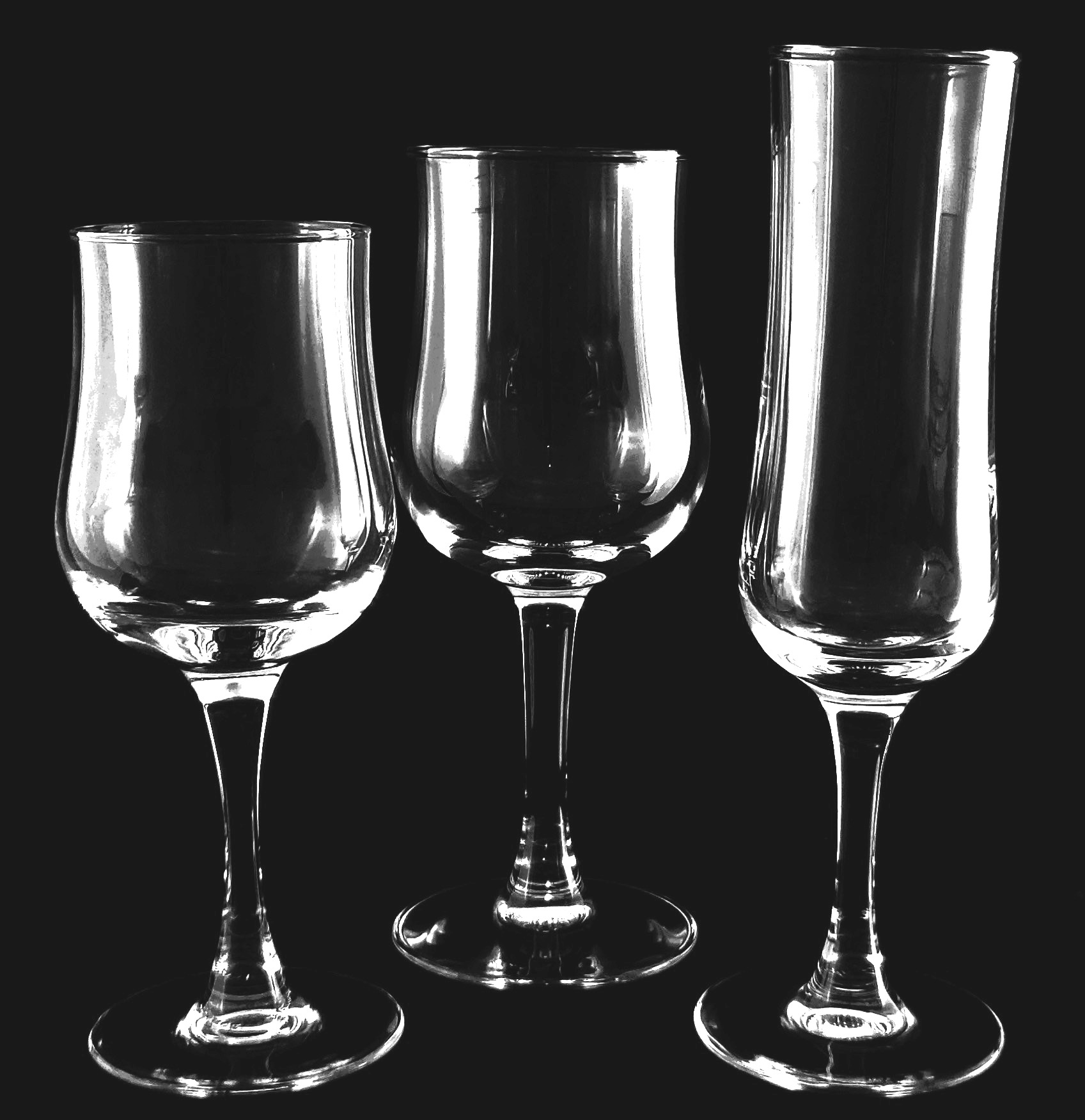 Verre à vin Cépage 24cl